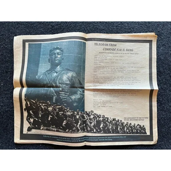 1971 Affordable Housing Black Panther Political Party, Black Excellence, Civil